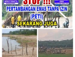 Kelompok Tani Sinar Maju Minta APH Bertindak, Pagar Sawah Rusak Jelang Tanam